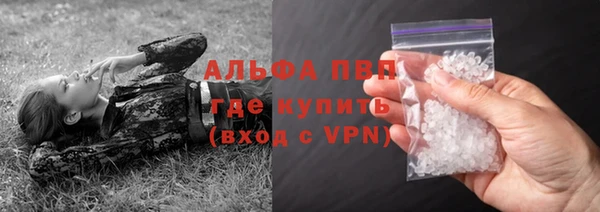 шишки Новокубанск
