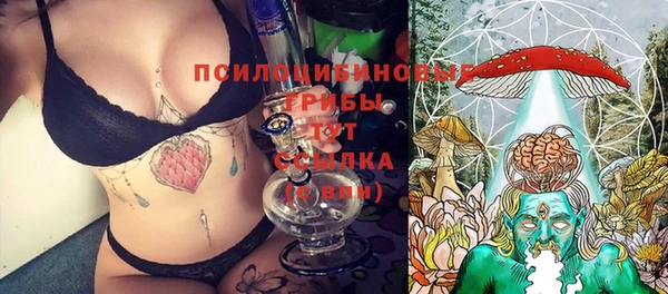 дурь Новодвинск