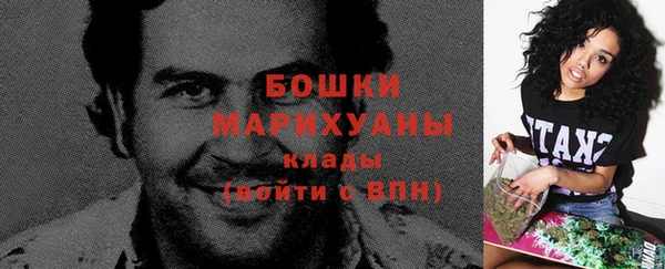 шишки Новокубанск