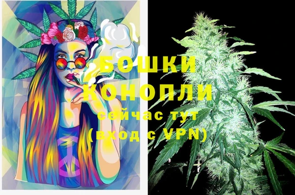 шишки Новокубанск