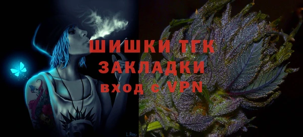 дурь Новодвинск