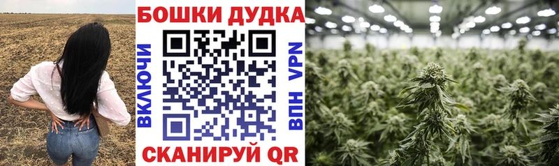 Марихуана сатива  darknet состав  Ленск  закладка 
